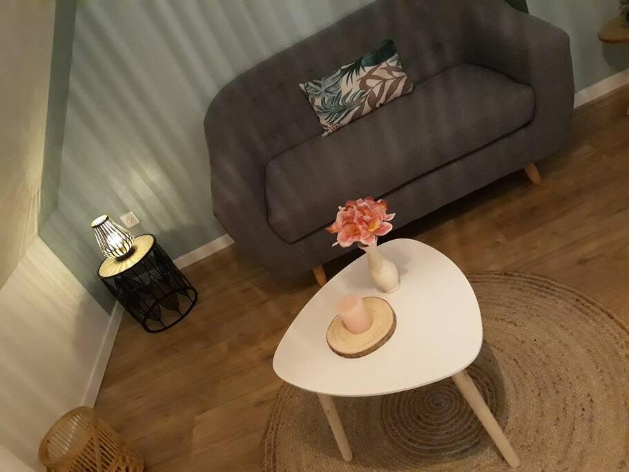 La Canisse 3 : Joli - Sur Appartement